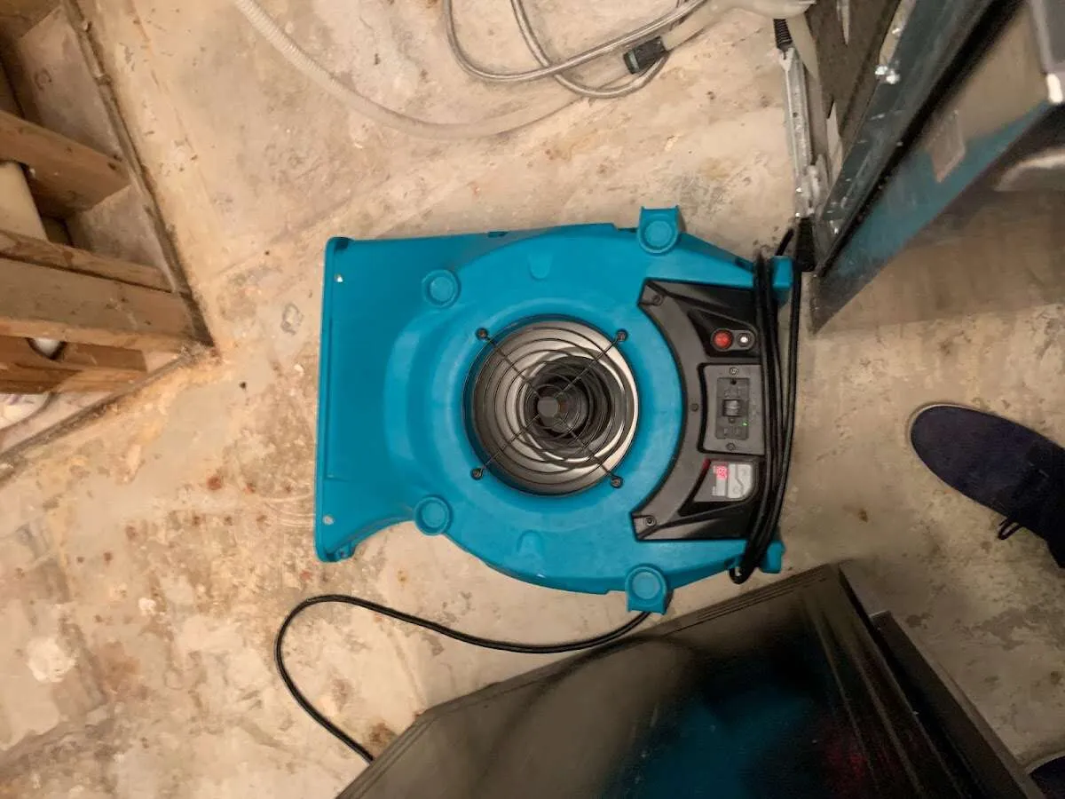 Air mover drying equipment for Mold Remediation & Removal in South Plainfield