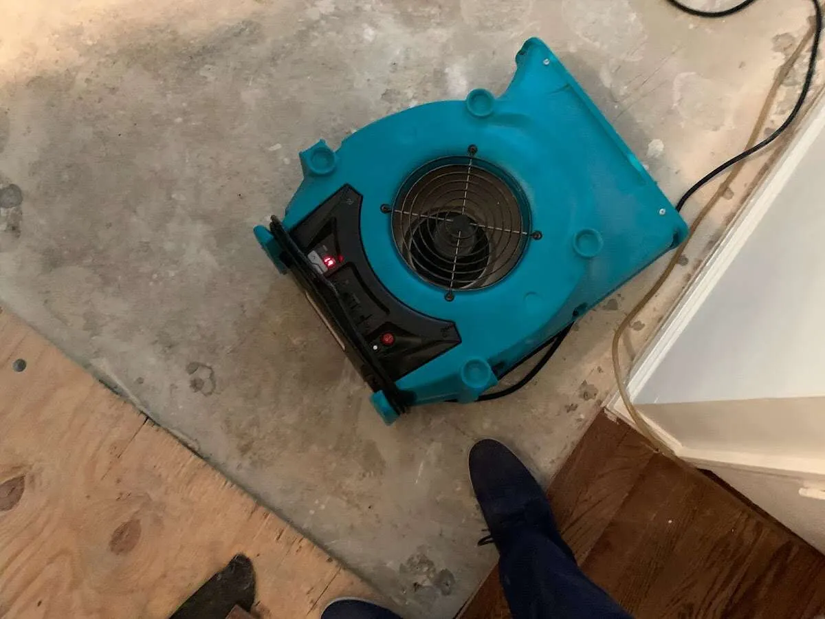 Air mover drying subfloor during Leak Detection & Repair in South Plainfield